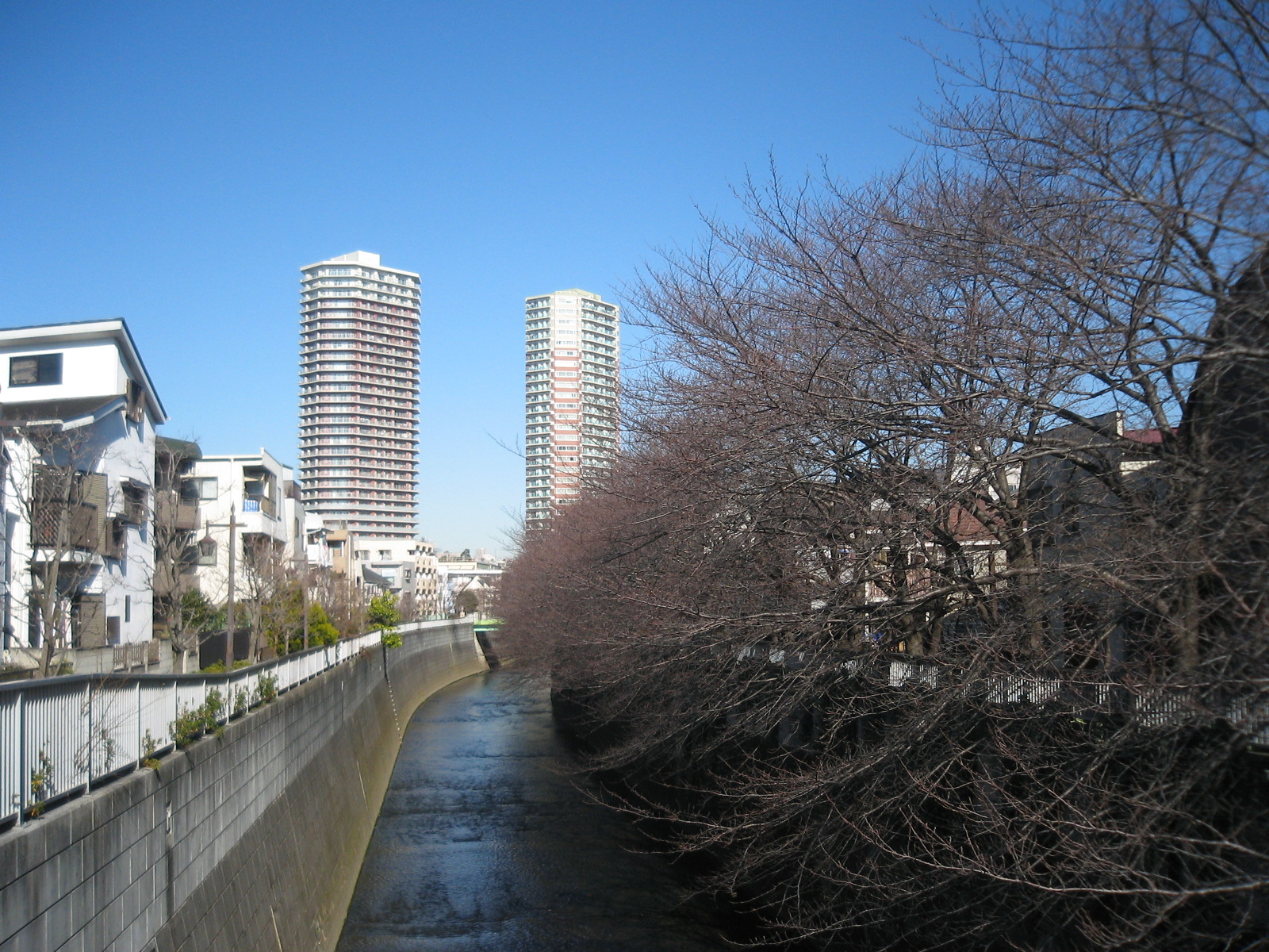 神田川 賃貸なら東中野の新東京信菱